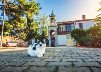 Büyükada’da Gezilecek Yerler - Büyükada Gezi Rehberi