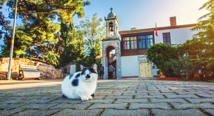 Büyükada’da Gezilecek Yerler - Büyükada Gezi Rehberi