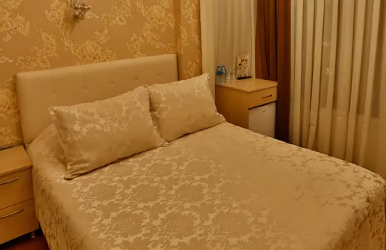 Mimoza Otel Deluxe Oda 205