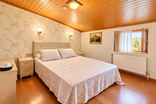mimoza butik otel